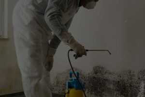 24/7 mold damage repair