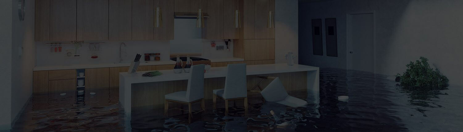 water and fire damage service areas