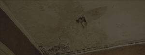water damage repair services