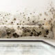 home flooding causes mold growth