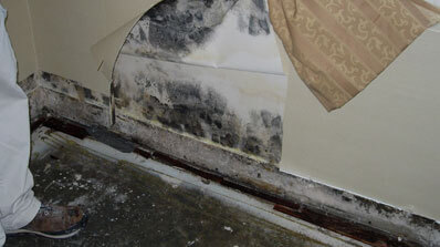 home mold can be dangerous