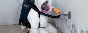 mold removal equipment