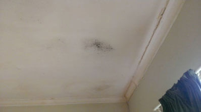 mold removal needed for any size mold