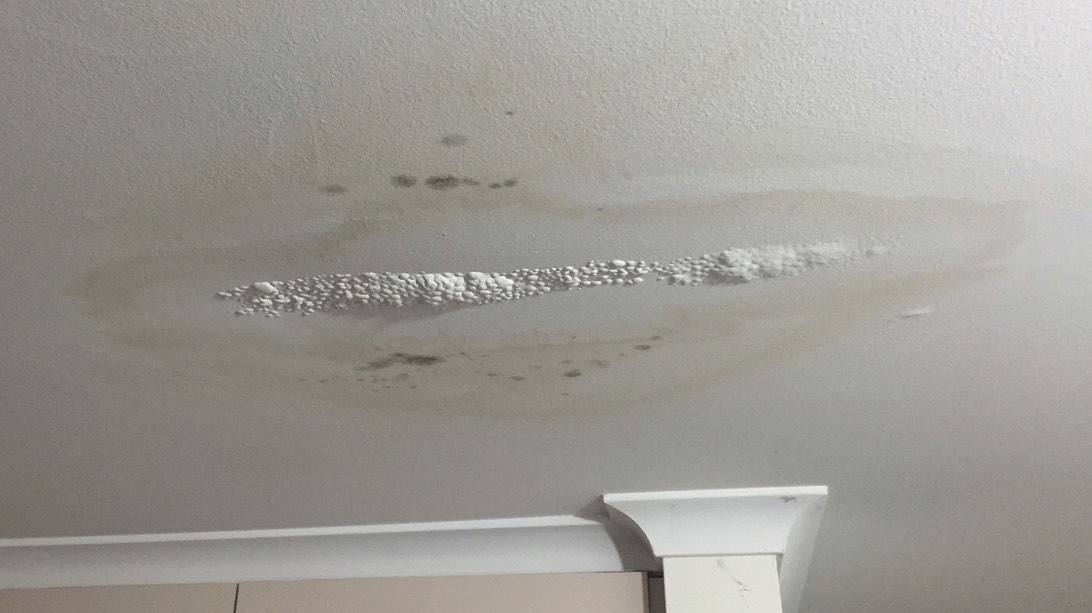 How To Tackle Ceiling Water Damage In, How Much Does It Cost To Fix A Water Damaged Basement Ceiling