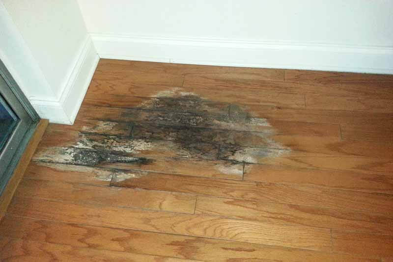 Water Damage To Your Wood Floors, How To Get Water Stain Out Of Hardwood Floors