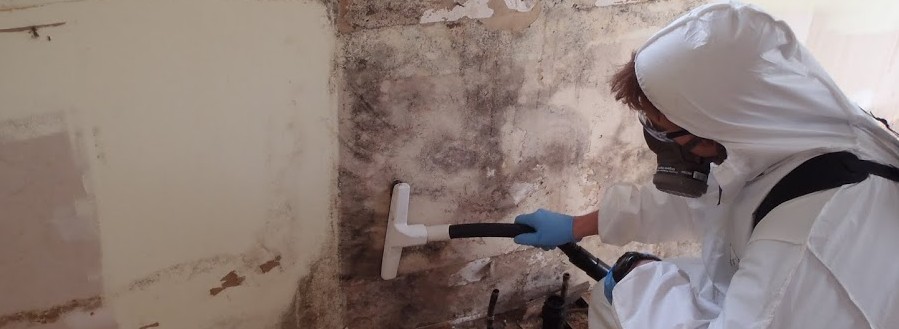 How Long Does It Take For Mold Damage To Grow? | Fix Mold ...