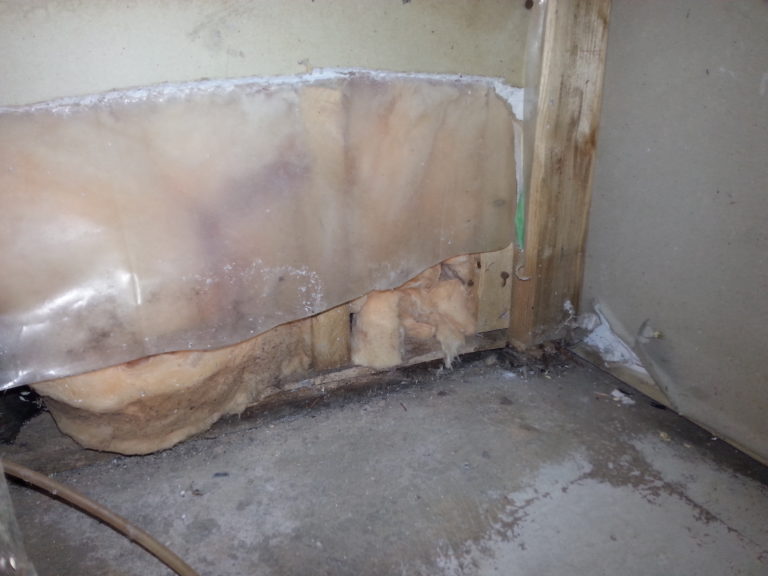 waterdamagedrywall Orange Restoration