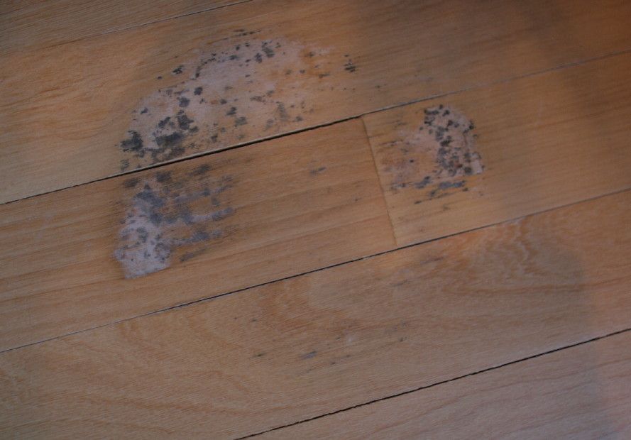 Mold Damage Under Your Hardwood Floors, Removing Dark Spots On Hardwood Floors