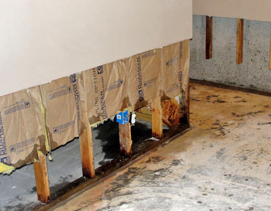 Indicators of Water Damage Behind Walls