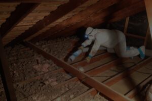 attic cleaning san diego