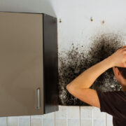 Mold can negatively impact the health of your family and guests if not mitigated properly.