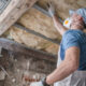 attic mold