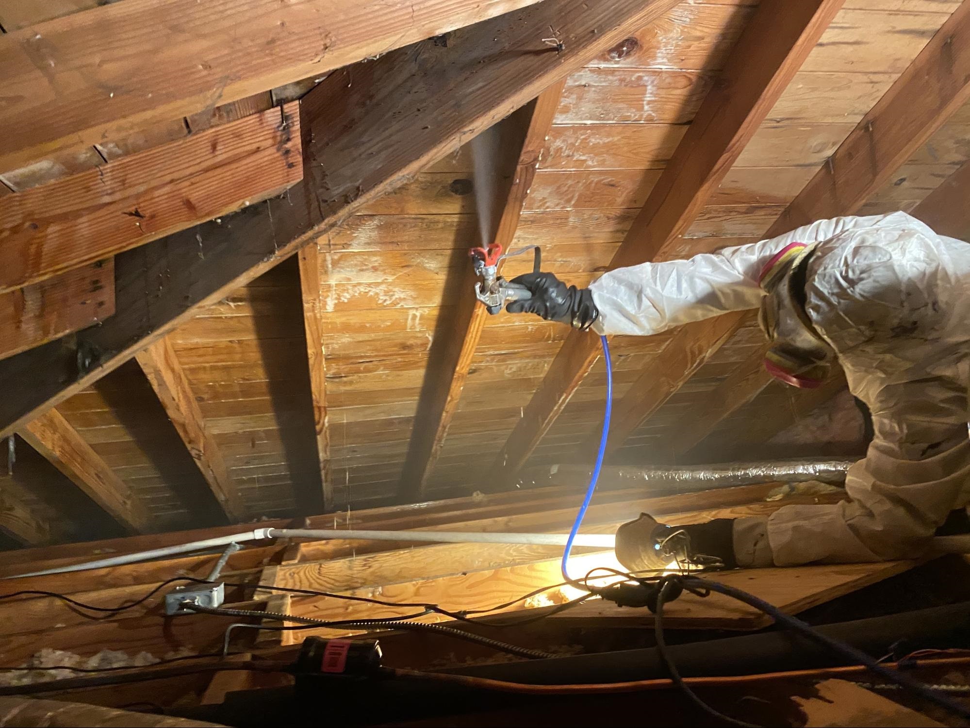 attic mold removal