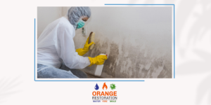 Mold Remediation starts with proper cleaning equipment and some hard work.