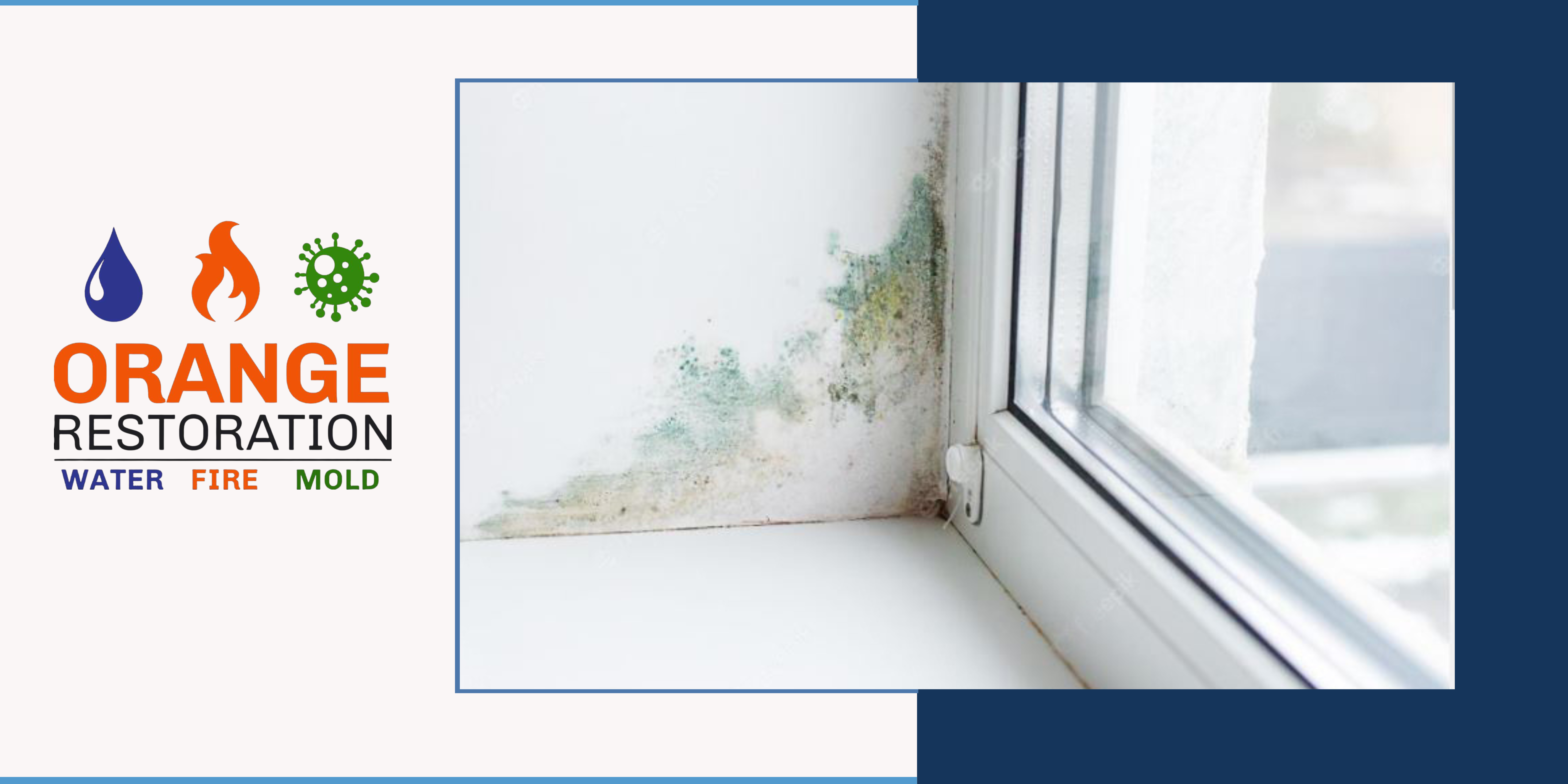 When Mold Remediation is needed, call an expert! this image shows mold in the edge of a window panel and the wall.