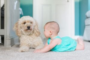 Mold And The Effect It Can Have On Your Health 7 Mold remediation is most important to those who have mold sensitivity, allergies, health concerns, or asthma. Consider small particle cleaning or medically sound remediation services for summer mold.