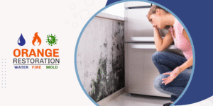 Don't call a "water damage restoration near me" operator who might leave behind secondary mold to be cleaned up by another team costing you more time and money, not to mention extended mold exposure to your health. Call the medically sound remediators of san diego and orange county.