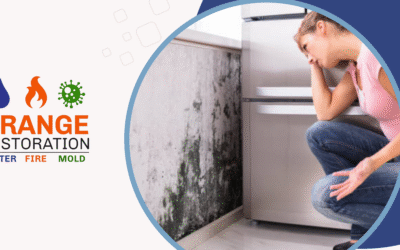 Why Most “Water Damage Restoration Near Me” #1 Google Results Can Do More Harm Than Good