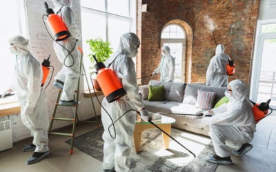 Summer Mold testing & Remediation