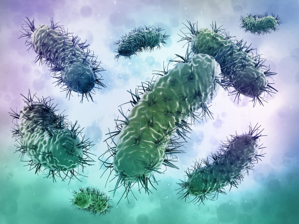 Mold spores under the microscope: invisible threats that cirs or medically sensitive individuals must address through small-particle remediation