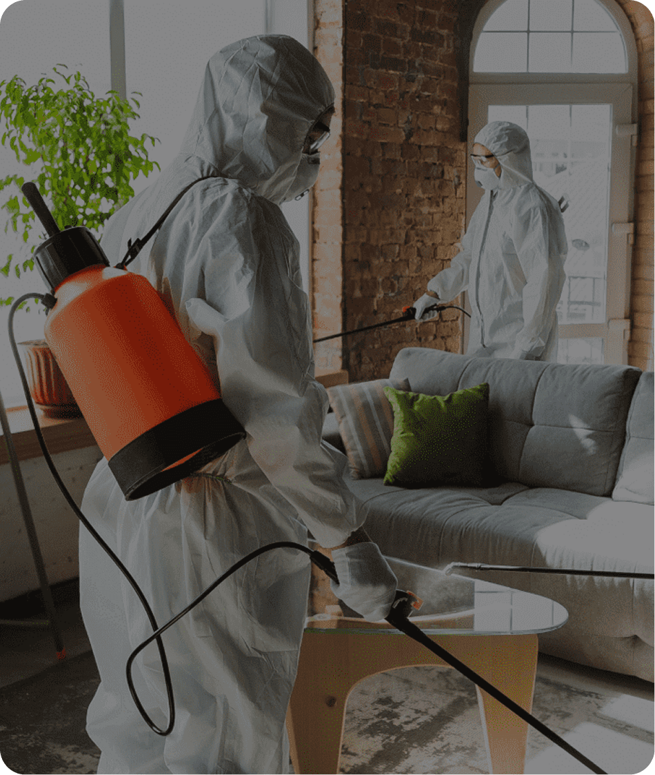 Home_Banner_Img Home_banner_img