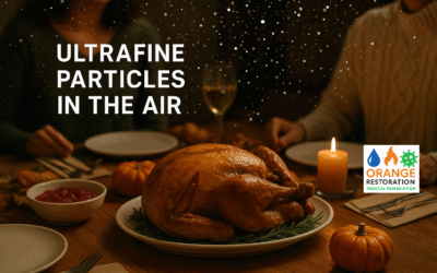 Small particle behavior in homes during thanksgiving